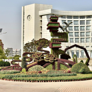 Shanghai Uniwersiteti